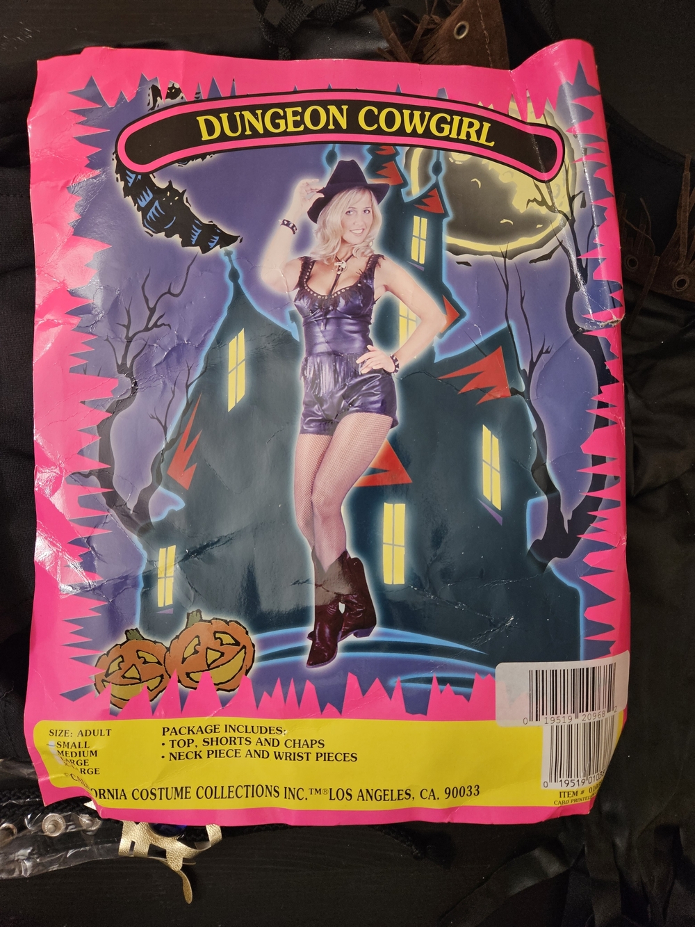 Dungeon Cowgirl Women's Halloween Costume